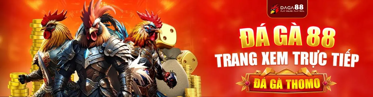Đá Gà Trực Tuyến 365ball